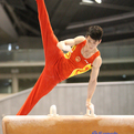 2014体操ワールドカップ東京大会/ZHOU Shixiong（CHN）