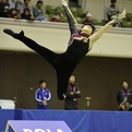 2015全日本新体操選手権/男子種目別決勝スティックTOP３