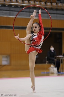 cameltoe rhythm gymnast 17点のTeam Japan Rhythmic Gymnastics Rio Olympic Day 15の ...