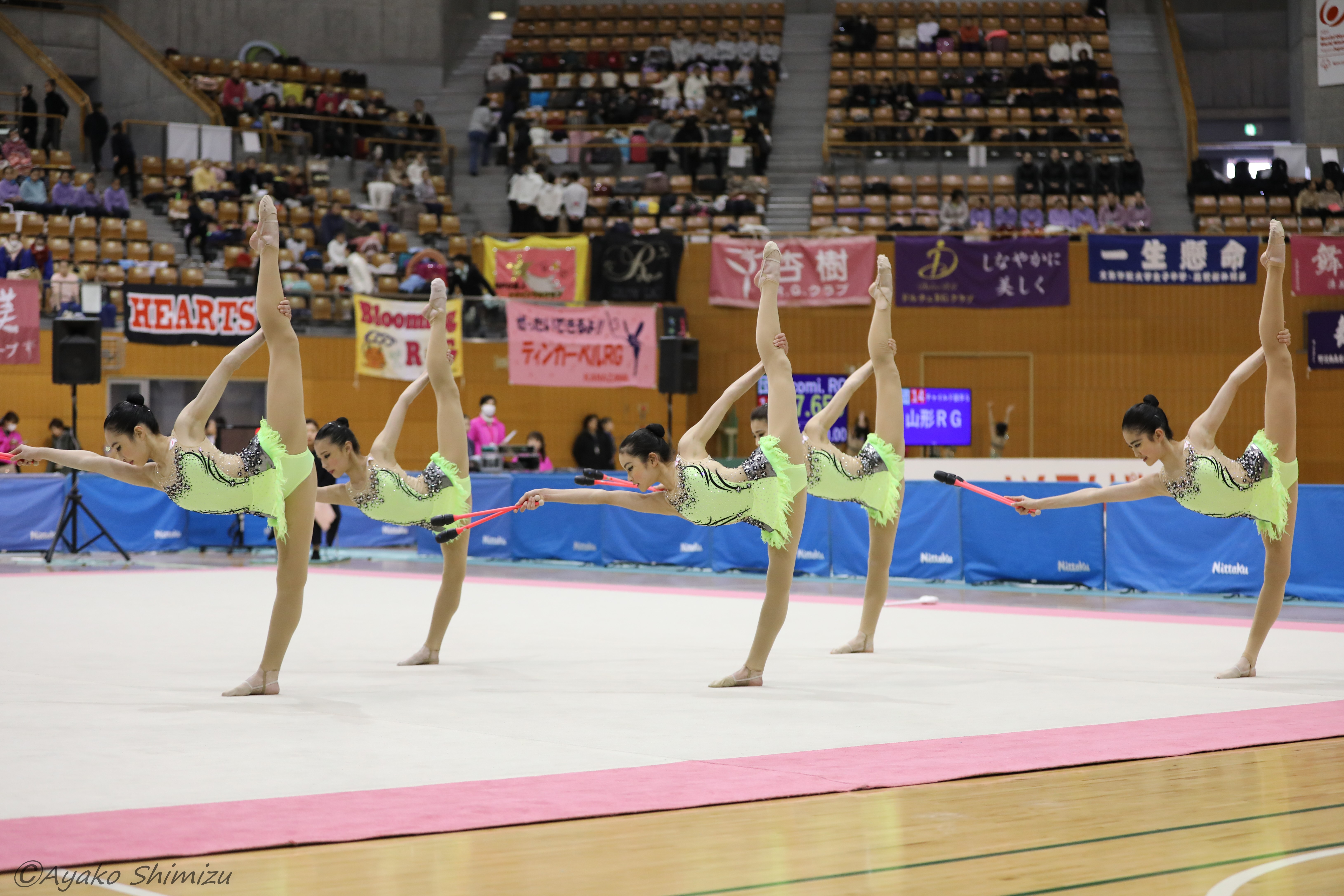 新 体操 研究 所